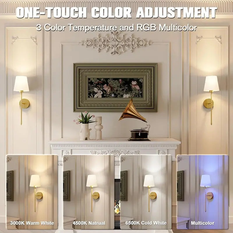 Silver Wall Mounted LED Sconce - Rechargeable, Wiring-Free, Dimmable RGB Bulb for Indoor Ambient Lighting in Living Spaces, Study, and Dining Areas
