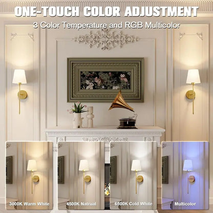 Silver Wall Mounted LED Sconce - Rechargeable, Wiring-Free, Dimmable RGB Bulb for Indoor Ambient Lighting in Living Spaces, Study, and Dining Areas
