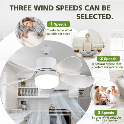 ASALL Remote-Controlled Socket Fan Light - Portable Ceiling Fan with Dimming Function, 1000 Lumens, Compatible with E26/E27 for Kitchen, Bedroom, and Living Room